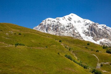 Fototapeta premium landscape of green grass and snowy mountains. landscape in nature