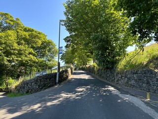 Approaching the bus stop at, Sandy Dyke Lane, with dry stone walls, trees, wild plants, and a blue sky in, Sowerby Bridge, UK