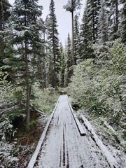 Snowy trail, Sawtooth National Forest, Idaho