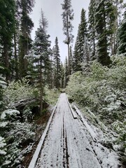 Snowy trail, Sawtooth National Forest, Idaho