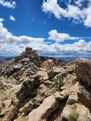 Mountain goat near the summit of Mount Massive, Colorado