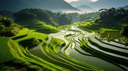 Deurstickers A terraced rice paddy field glistening with water. © Ammar