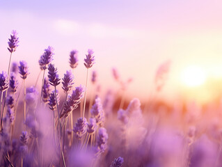 Naklejka premium lavender field and the sunset behind. generative ai