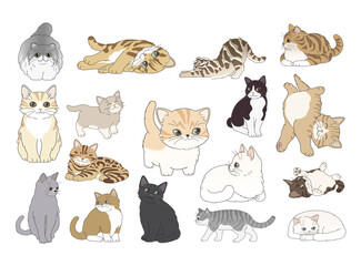 Vector flat style cats illustration set