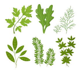 Set of green plants vector concept
