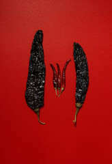 Dried Chilis Red background, chile guajillo Pasilla mexican spice flat lay