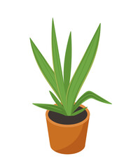 Isometric plant in flowerpot vector concept