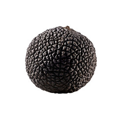 Black Winter Truffle Isolated on Transparent or White Background, PNG