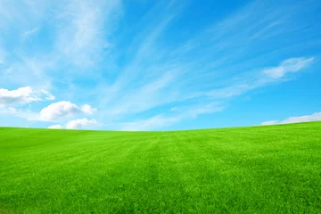Fototapeten Lush green grass under bright blue sky with clouds © New Africa