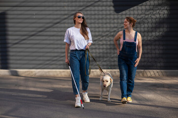 Blind caucasian woman walking with guide dog and pregnant girlfriend. 