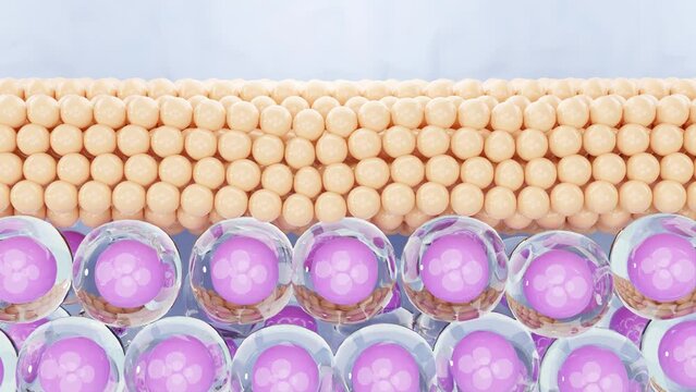 Cell Revitalization Elixir, Collagen-Infused Cellular Skin Rejuvenation.