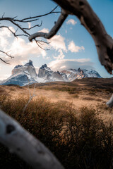 landscape in winter, Torres del Paine National Park, Chile
