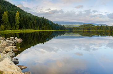 Forested Shoreline Reflection on Trillium Lake, Mount Hood National Forest, Oregon, USA