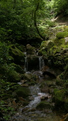 waterfall in the forest