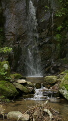 waterfall in the forest