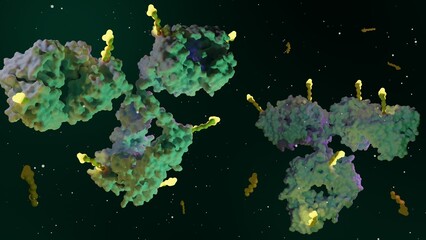 Antibody drug conjugates (ADCs) are targeted medicines that deliver chemotherapy agents to cancer cells 3d rendering