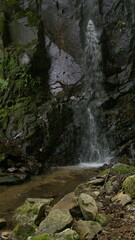 waterfall in the forest
