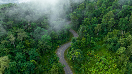Aerial top view road in green tree forest, Top view from drone of rural road, mountains, forest....