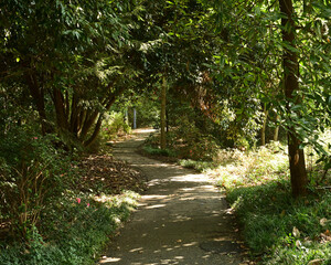 Path in the park