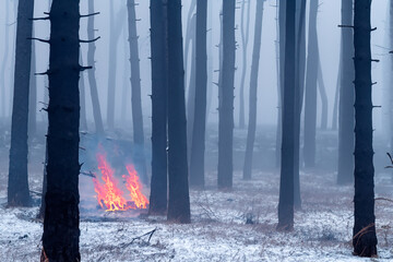 Fire In The Winter Foggy Forest AI Generated