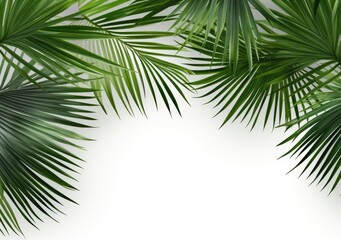 Group of green leaf frame on white. Summer palm leaves on White background, AI Generative.