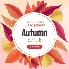 Vector autumn sale round banner with autumn leaves frame isolated on colorful background. Design for card, poster, website, advertising, promotion, flyer, invitation
