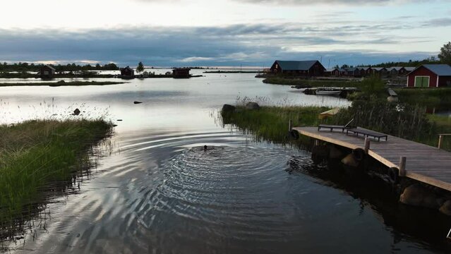 Aerial view of a person swimming, in calm sea water, sunny evening in Scandinavia