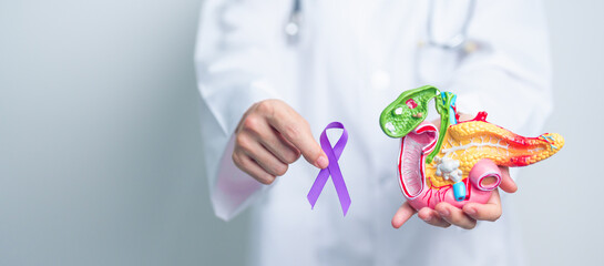 Doctor holding Purple ribbon with human Pancreas model for support Pancreatic cancer November...