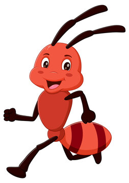 Cute ant running. Vector illustration
