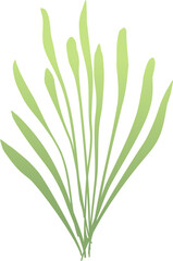 Vector Illustration Green Leaves