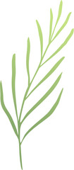 Vector Illustration Green Leaves