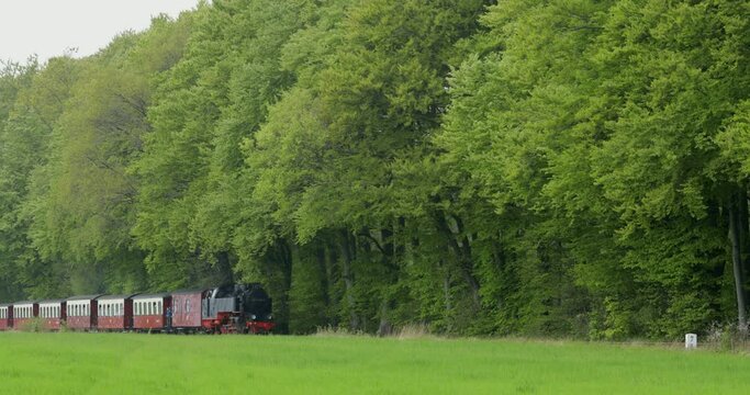 Molli steam train near Heiligendamm, Mecklenburg-Western Pomerania, Germany, Europe