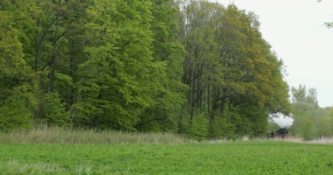 Molli steam train near Heiligendamm, Mecklenburg-Western Pomerania, Germany, Europe