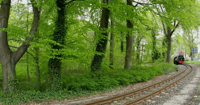 Molli steam train, Bad Doberan, Mecklenburg-Western Pomerania, Germany, Europe