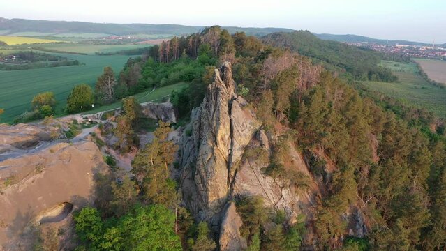 Hamburg coat of arms, belongs to the Devil's Wall, Harz Mountains, Timmenrode, Saxony-Anhalt, Germany, Europe
