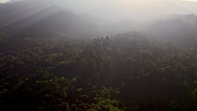 Sun Ascends Over The Mountains And Forests