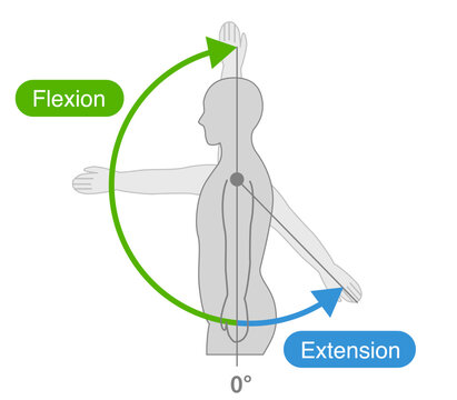 Shoulder joint motion and direction of motion