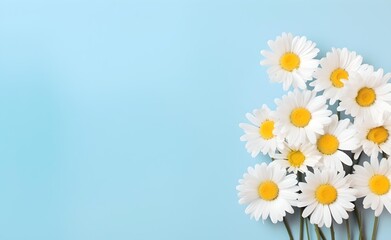 Daisy bunch on pastel background free copy space