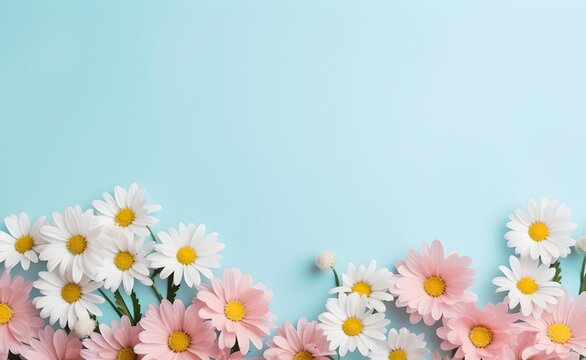 Daisy bunch on pastel background free copy space