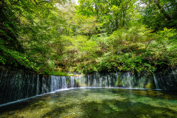 長野県軽井沢町の白糸の滝 - obrazy, fototapety, plakaty
