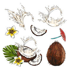 Set of hand drawn colorful coconuts, milk, leaf and flowers sketch style