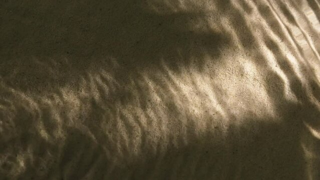 Close-up water surface ripples and splash, palm tree leaf shadow on sand texture