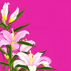 pink lily flowers flower, nature, spring, lily, isolated, pink, plant, white, beauty, flowers, blossom, bouquet, 