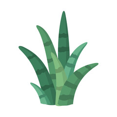 Cactus and succulent colorful cartoon vector illustration - 655561640