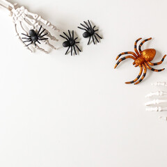 Overhead Flatlay image of spiders and skeleton hands