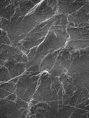 Black sand dunes and grasses at Stokknes in Iceland