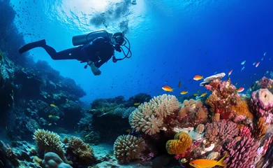 Fototapeten Scuba diving in tropical ocean coral reef sea under water. © Curioso.Photography