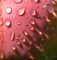 Drops of water on the red skin of an apple. Macro