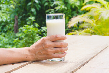 A female hand holding a glass of milk is placed on a wooden table in the morning. The concept of drinking milk for good health
