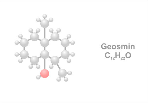 Geosmin. Simplified scheme of the molecule. Detectable in petrichor.
